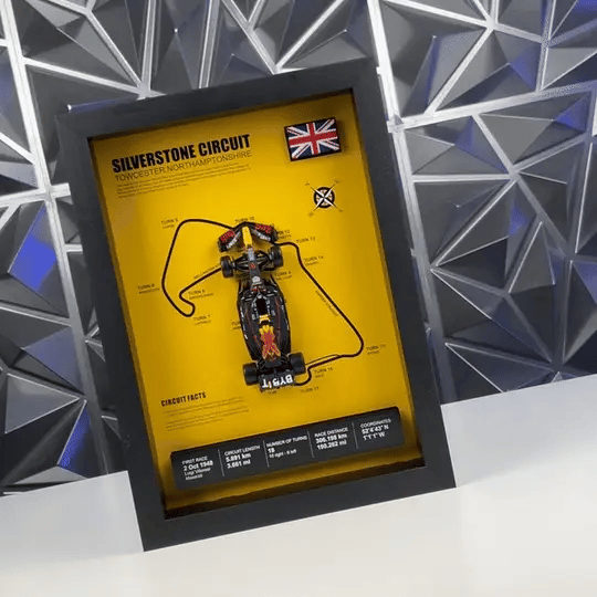 F1 RB19 Model Araba Vitrini 3D (Koleksiyonluk)