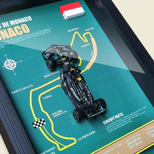 F1 W14E Model Araba Vitrini 3D (Koleksiyonluk)